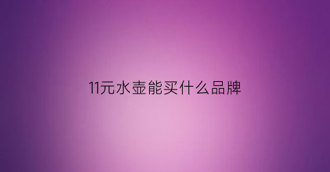 11元水壶能买什么品牌(十几元的烧水壶质量怎么样)