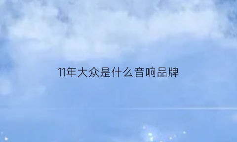 11年大众是什么音响品牌(2011年的大众多少钱)