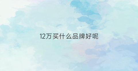 12万买什么品牌好呢(12万买什么车性价比高)