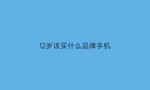 12岁该买什么品牌手机(12岁该买什么品牌手机好)