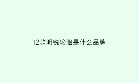 12款明锐轮胎是什么品牌