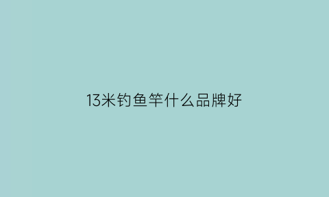 13米钓鱼竿什么品牌好(13米钓鱼杆最低价)