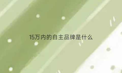 15万内的自主品牌是什么(15万内的自主品牌是什么车)