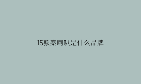 15款秦喇叭是什么品牌(抖音流行歌曲排名)