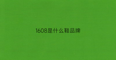 1608是什么鞋品牌(16082是什么尺码)
