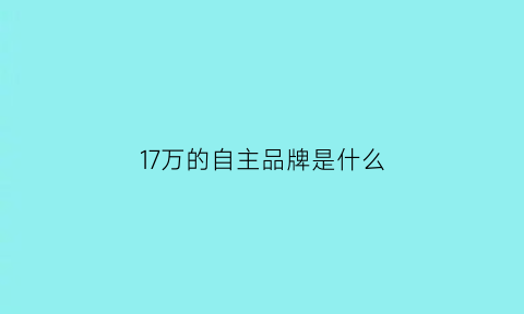 17万的自主品牌是什么