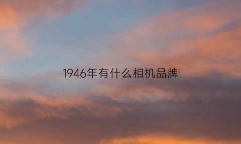 1946年有什么相机品牌(1966年的相机)