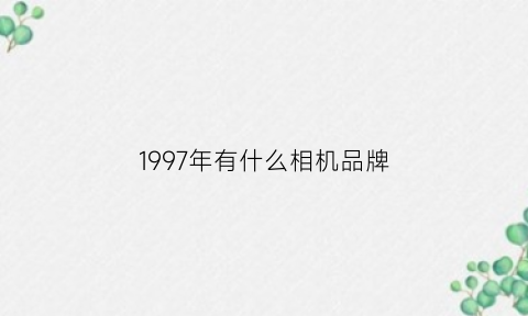 1997年有什么相机品牌(1997年有什么相机品牌好)