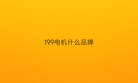 199电机什么品牌