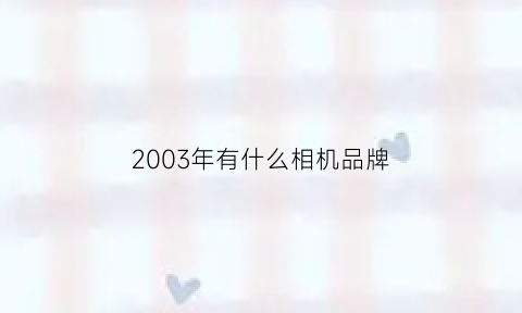 2003年有什么相机品牌(2003年单反)