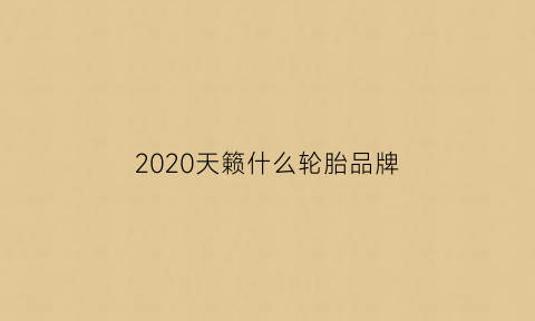 2020天籁什么轮胎品牌