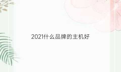 2021什么品牌的主机好