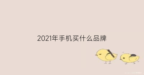 2021年手机买什么品牌