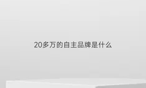 20多万的自主品牌是什么