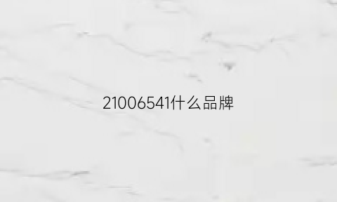 21006541什么品牌(❌❌是什么品牌)