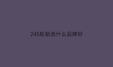 245轮胎选什么品牌好