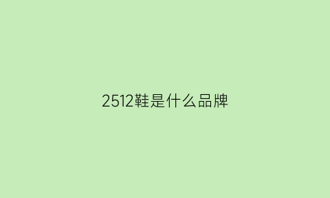 2512鞋是什么品牌