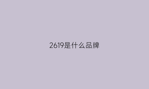 2619是什么品牌