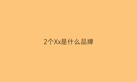 2个Xx是什么品牌(一个x是什么牌子)