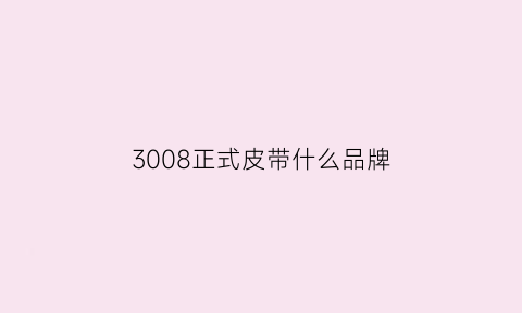 3008正式皮带什么品牌(3008皮带怎么拆)