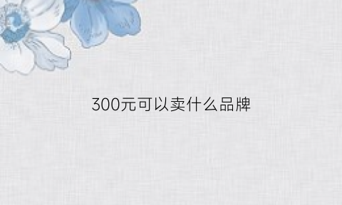 300元可以卖什么品牌