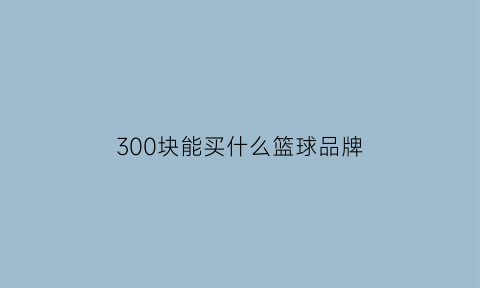 300块能买什么篮球品牌