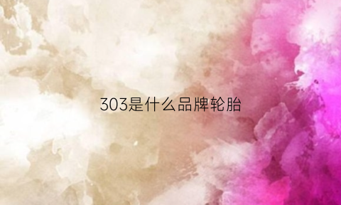 303是什么品牌轮胎