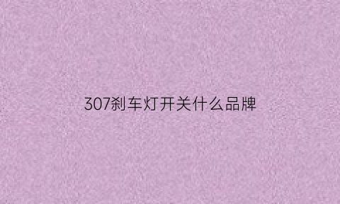 307刹车灯开关什么品牌(307刹车灯不亮是什么原因)