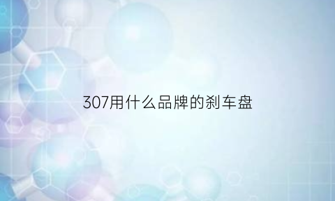 307用什么品牌的刹车盘(307刹车盘多久换一次)