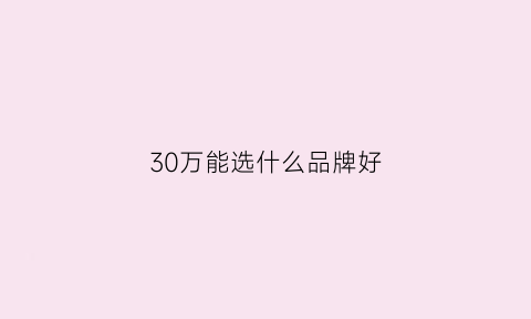 30万能选什么品牌好(30万能选什么品牌好点)