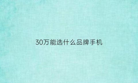 30万能选什么品牌手机(30万价位的手机)