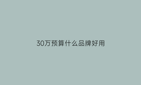 30万预算什么品牌好用(30万左右口碑最好的)