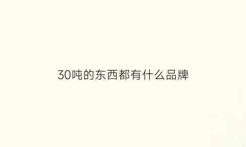 30吨的东西都有什么品牌(30吨大概有多少)