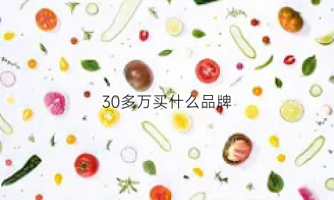 30多万买什么品牌(三十多万买什么)