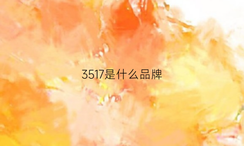 3517是什么品牌(3513是什么牌子)