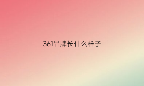 361品牌长什么样子(361品牌长什么样子的)