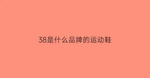 38是什么品牌的运动鞋(运动鞋38码是多少mm)