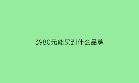 3980元能买到什么品牌(3980元能买到什么品牌衣服)