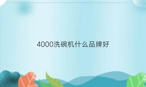 4000洗碗机什么品牌好(5000左右的洗碗机)