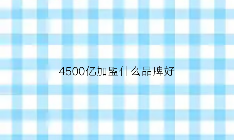 4500亿加盟什么品牌好