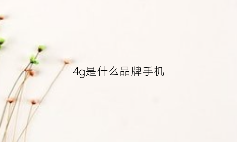 4g是什么品牌手机(4g手机是什么概念)