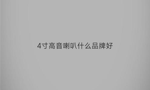 4寸高音喇叭什么品牌好(四寸喇叭什么牌子的好)