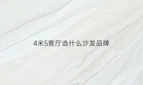 4米5客厅选什么沙发品牌(4米5客厅选什么沙发品牌比较好)