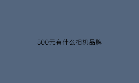 500元有什么相机品牌(500元的相机推荐)