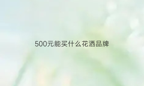 500元能买什么花洒品牌(花洒500块钱贵不贵)