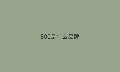 500是什么品牌(500year是什么牌子)