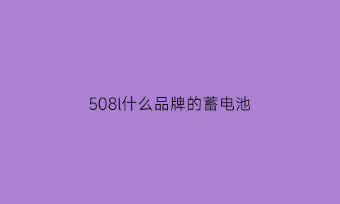 508l什么品牌的蓄电池