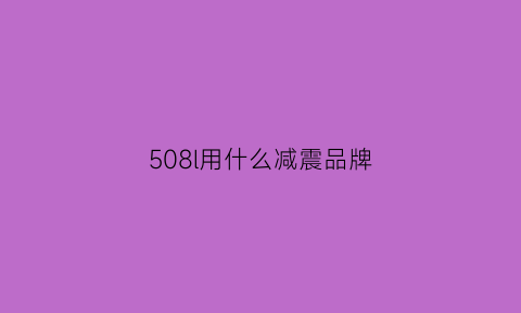 508l用什么减震品牌(508减震器用多久更换)