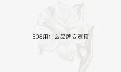 508用什么品牌变速箱(508用什么品牌变速箱油)