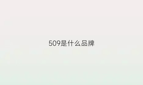 509是什么品牌(509啥意思)